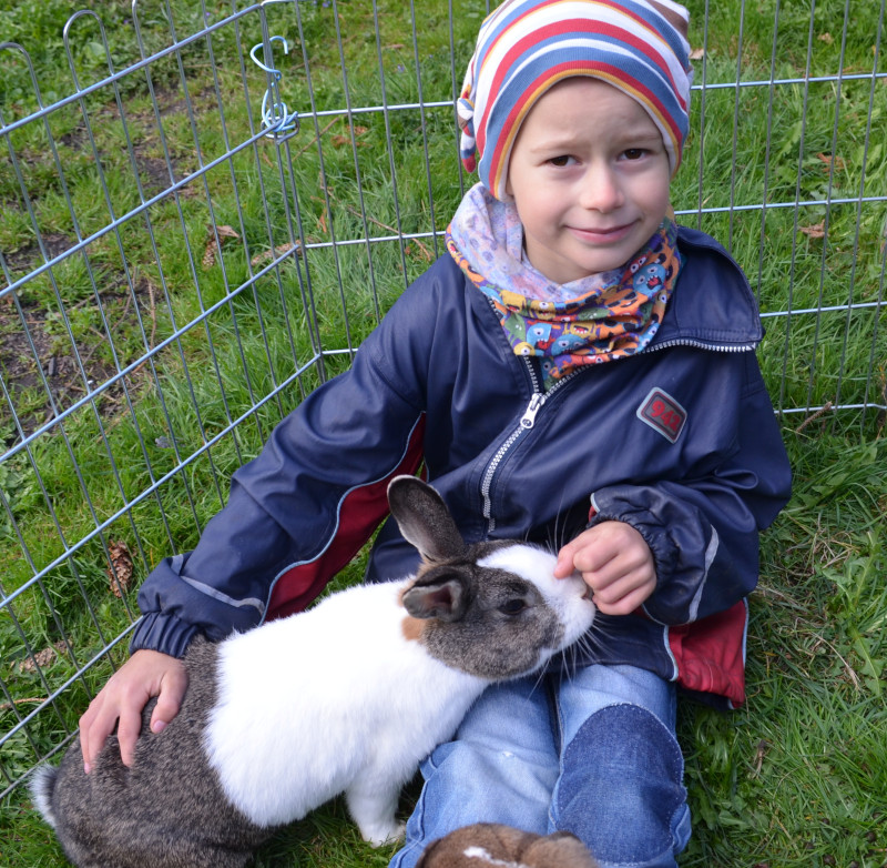 Kaninchen und Kind